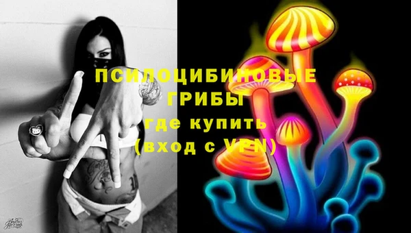 крисы Киреевск