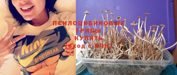 крисы Киреевск