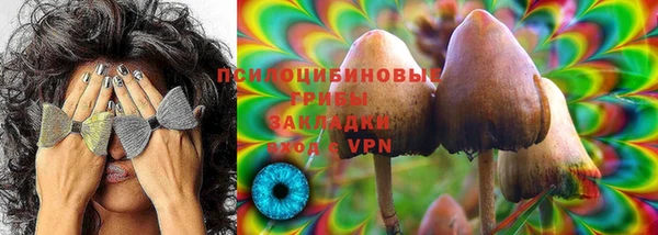 крисы Киреевск